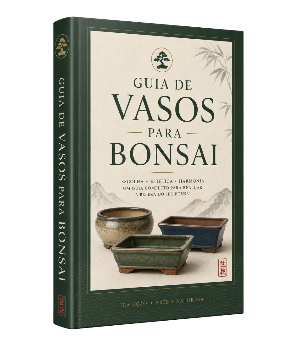 Guia de Vasos para Bonsai